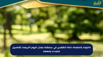 «أجواء غامضة» حالة الطقس في سلطنة عمان اليوم الأربعاء تفاصيل متجددة ومهمة